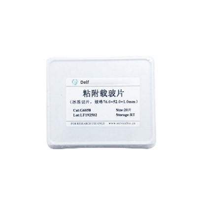 粘附載玻片（冰切切片、特規(guī)大玻片）